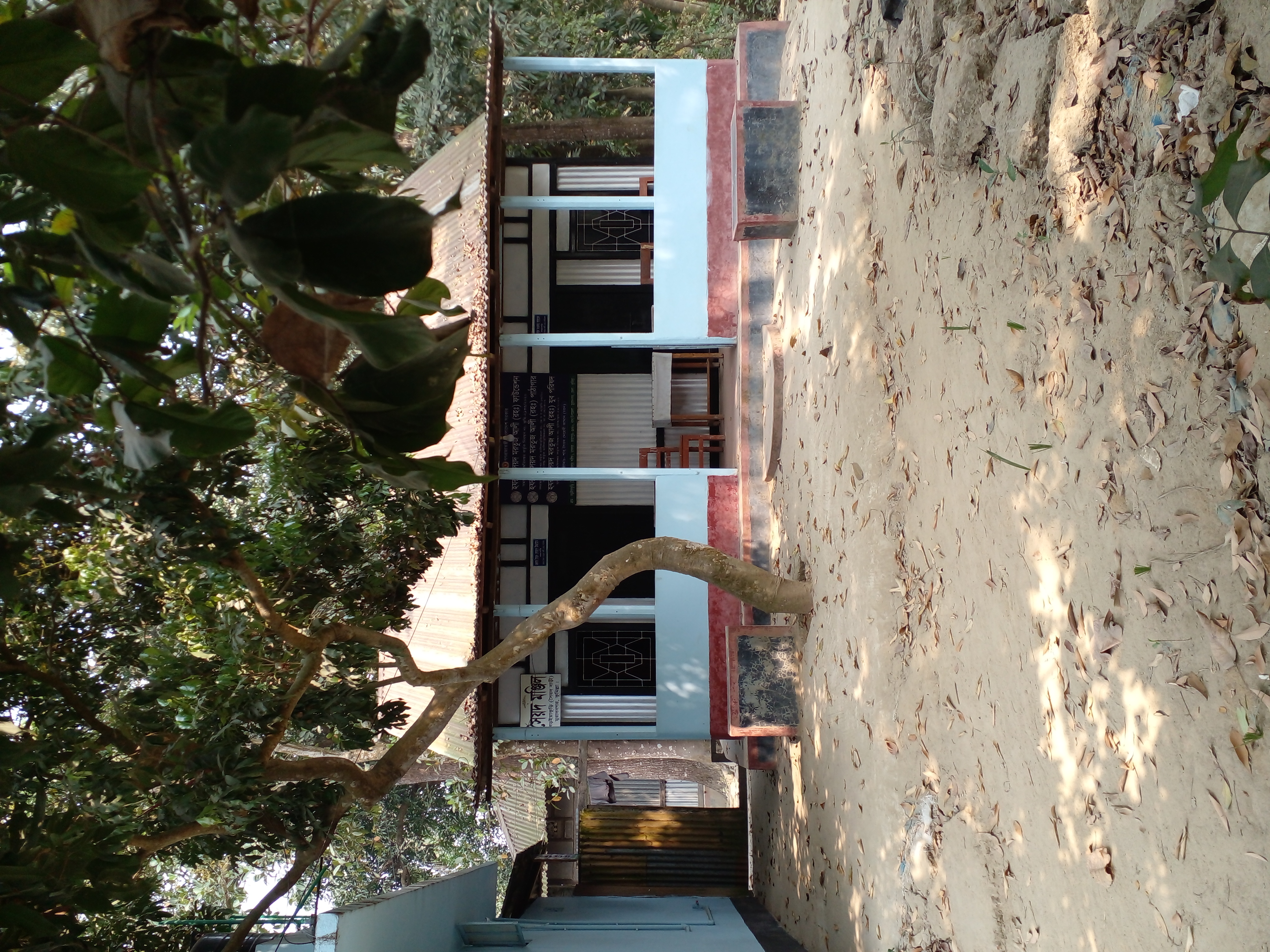 Library Image