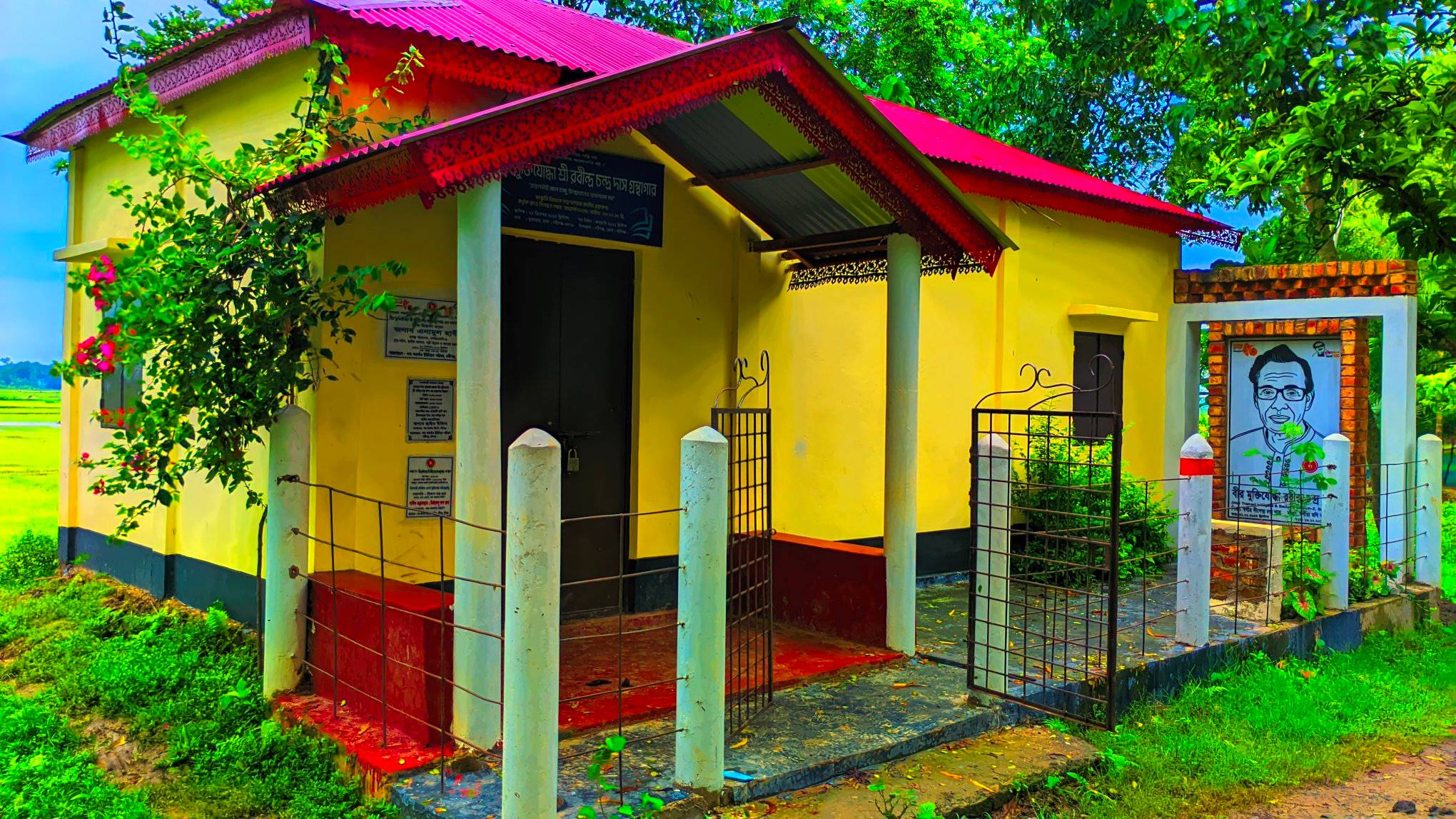 Library Image