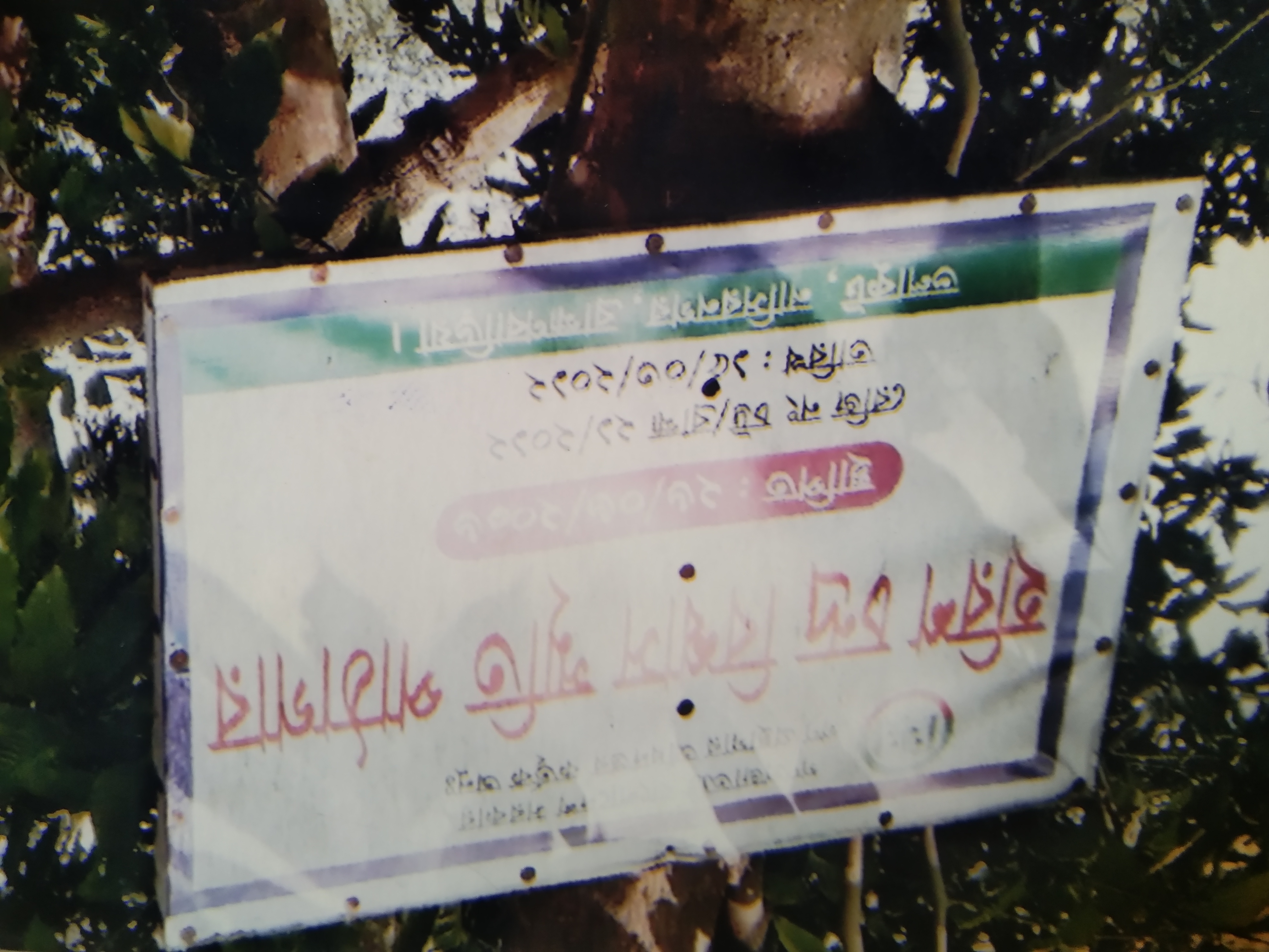 Library Image
