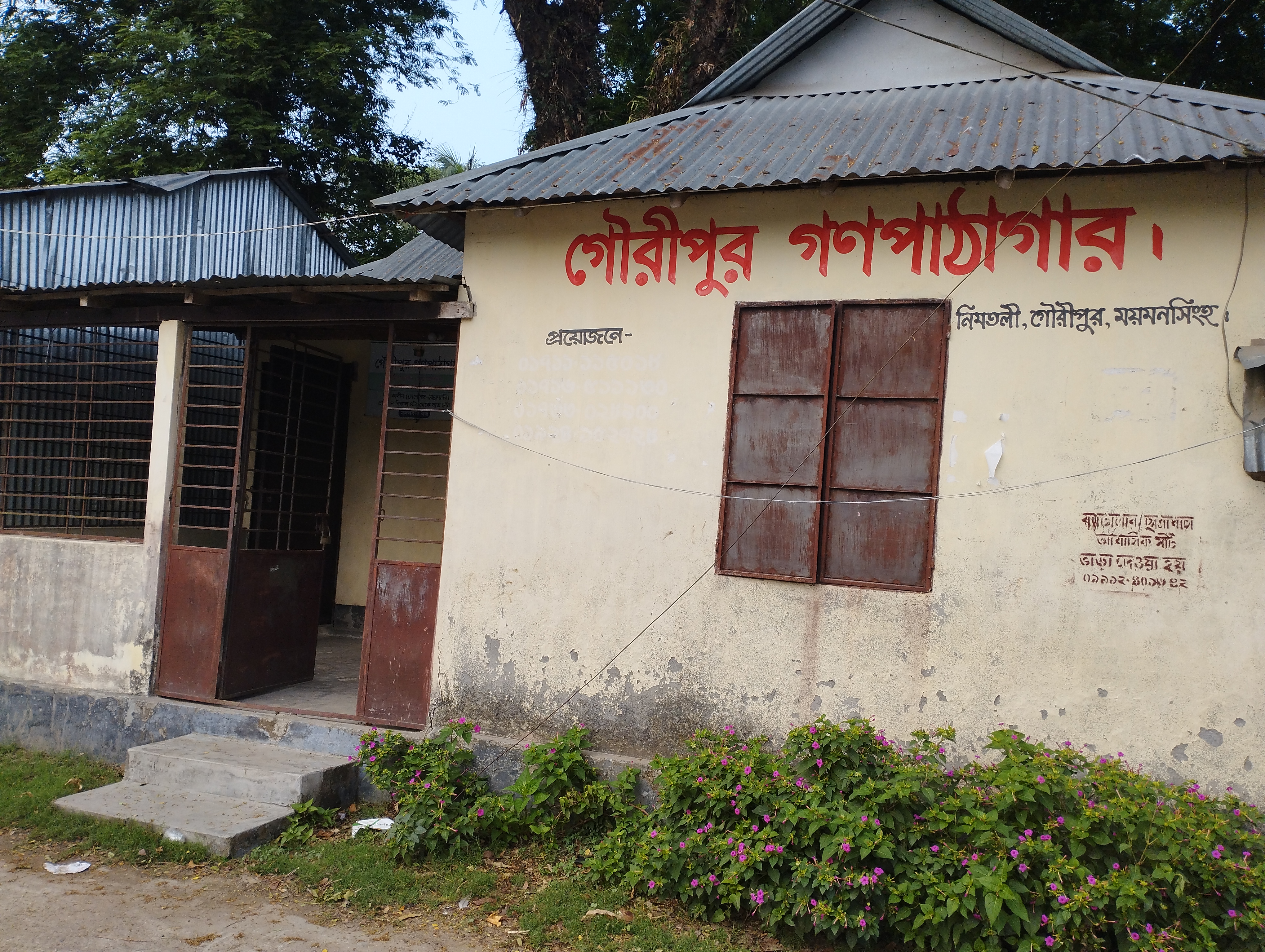 Library Image